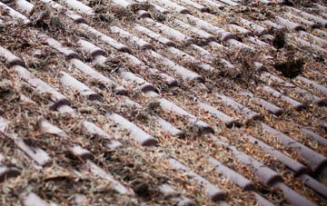 Barbridge roof cleaning companies